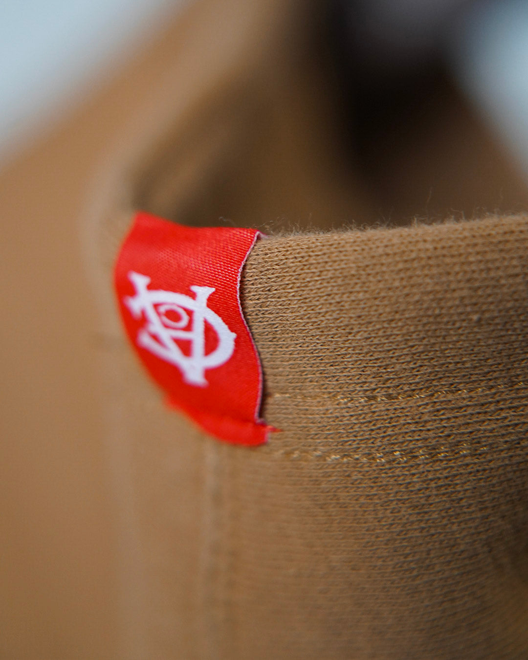 Heart of a Lion Hoodie