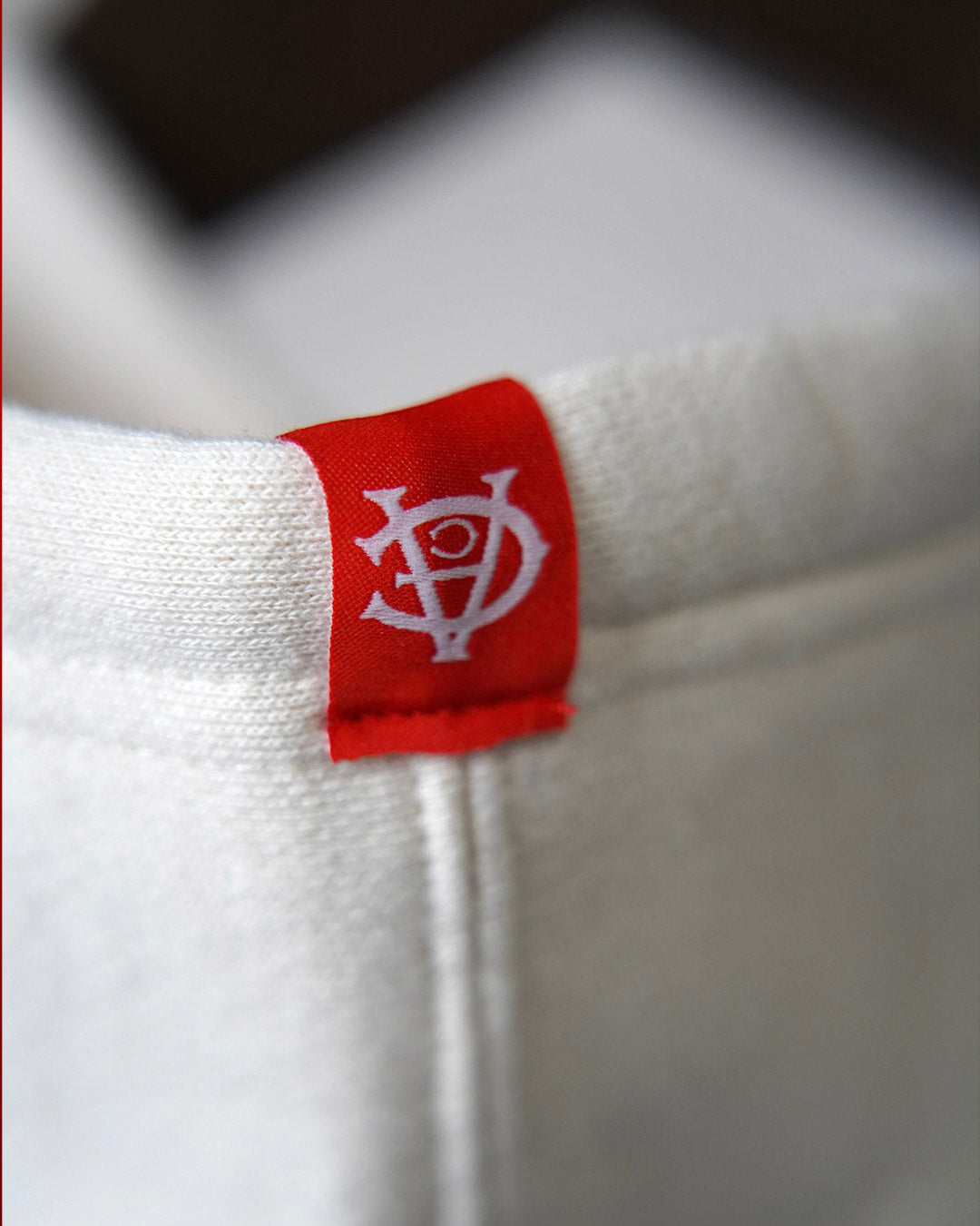 Heart of a Lion Hoodie